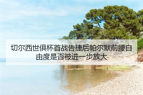 qie-er-xi-shi-ju-bei-shou-zhan-gao-jie-hou-pa-er-mo-qian-yao-zi-you-du-shi-fou-bei-jin-yi-bu-fang-da-2-775.jpg