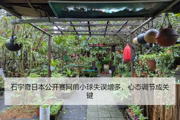 石宇奇日本公开赛网前小球失误增多，心态调节成关键