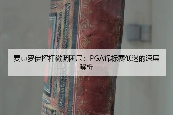 mai-ke-luo-yi-hui-gan-wei-diao-kun-ju-jin-biao-sai-di-mi-de-shen-ceng-jie-xi-2-488.jpg